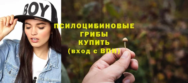 a pvp Алексин